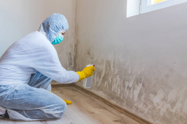 Hvac And Air Duct Mold Remediation inspection of HVAC system in Franklin
